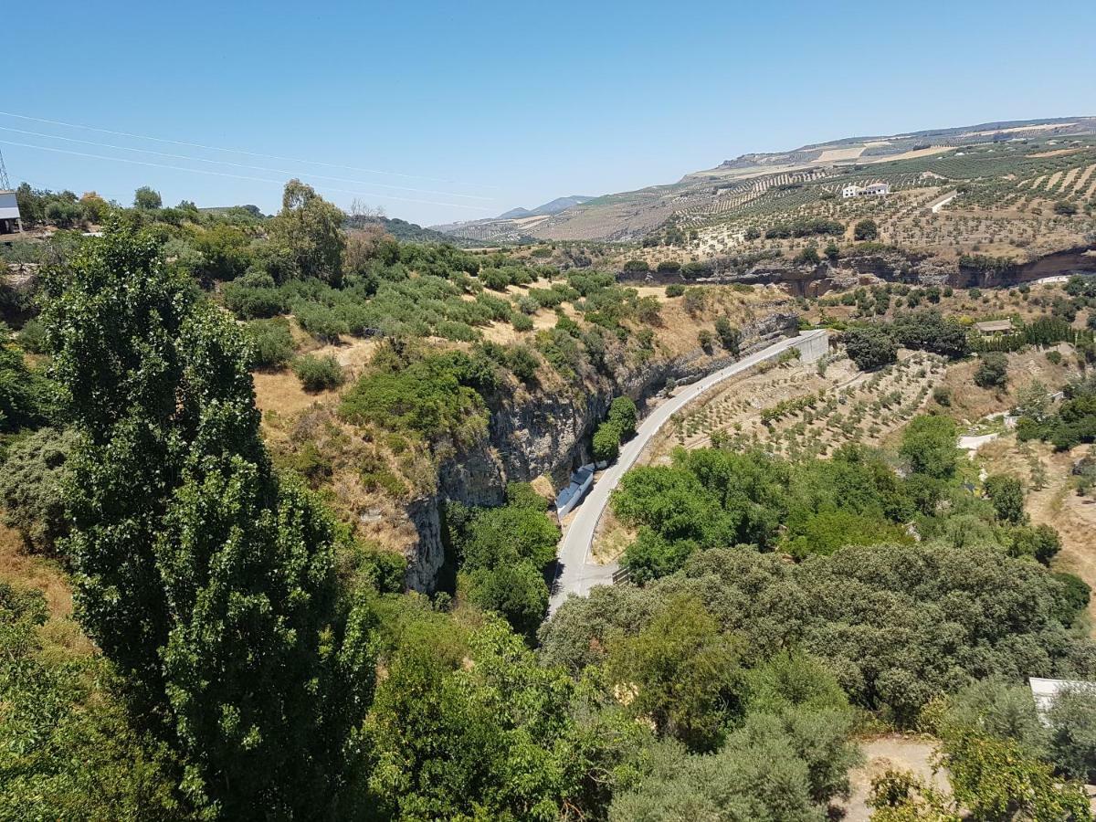 Casa Primavera Daire Setenil De Las Bodegas Dış mekan fotoğraf